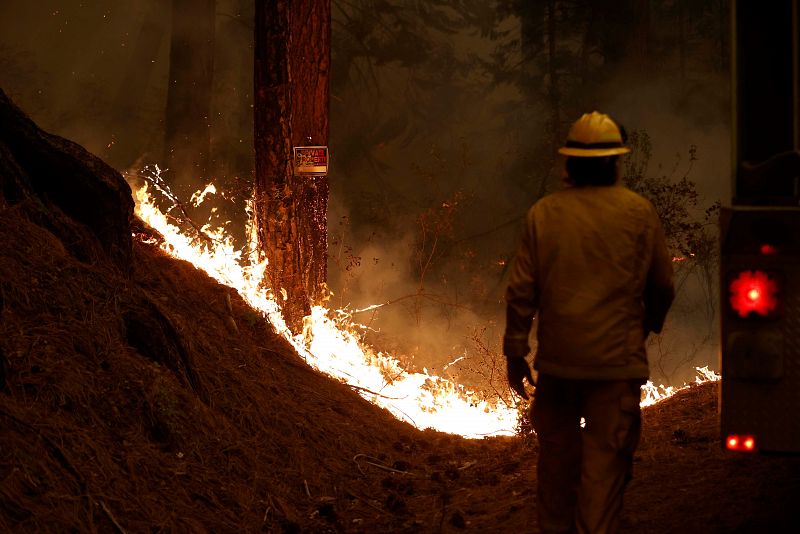 Se cree que el origen del fuego es un fallo eléctrico. El testimonio de un operario de Pacific Gas & Electric apunta a unos fusibles en mal estado de una torre.