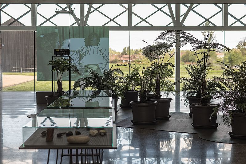 A punto de ser nada (Fundación Cerezales Antonino y Cinia, 2021)