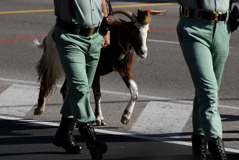 La cabra de la Legión, en el desfile de la Fiesta Nacional