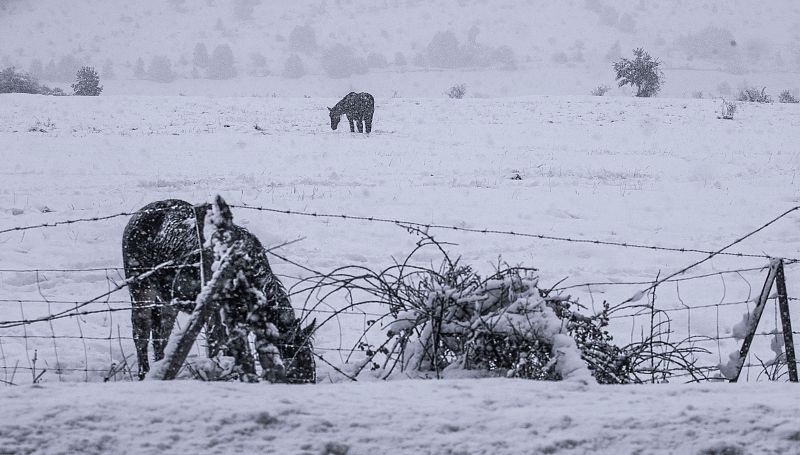 Nevadas en Piqueras (Soria)