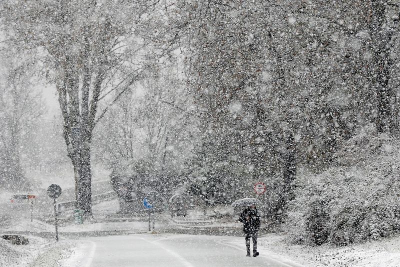 Nevada en Valladolid