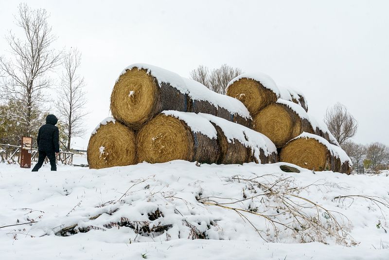 Nevadas en Ávila