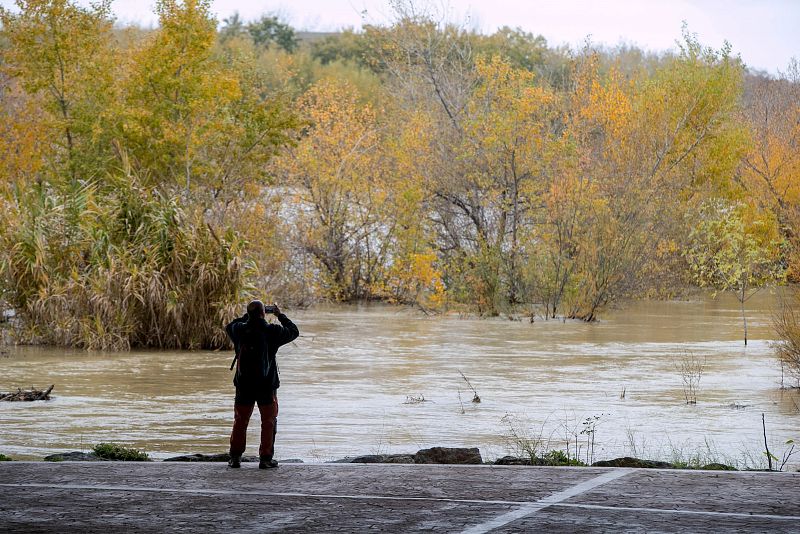 Consecuencias del temporal en Zaragoza