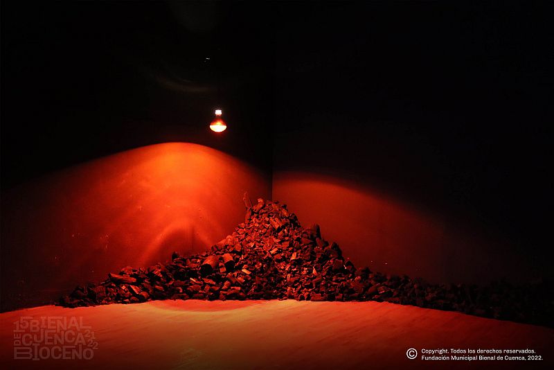 Cristina Lucas (España)