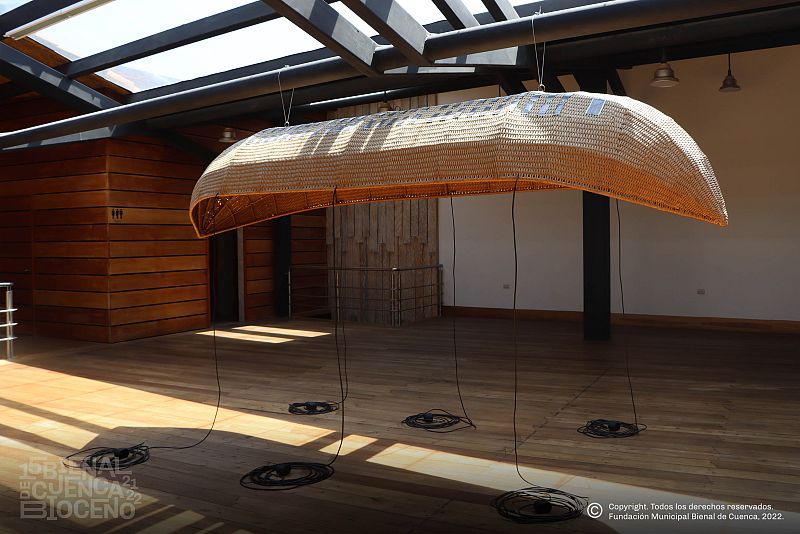 Amor Muñoz (México)