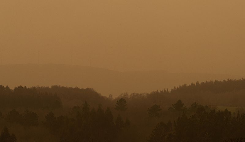 Parte del bosque de la Sierra del Careón, en Galicia, envuelto por el polvo