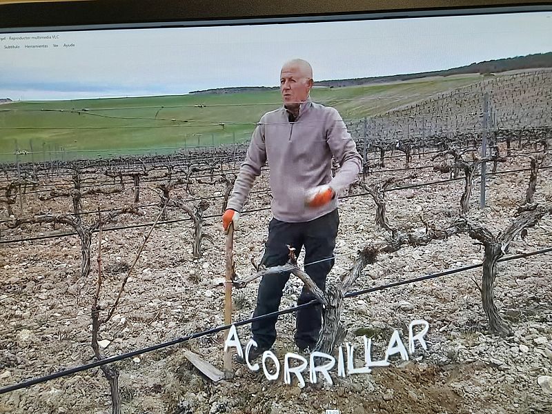 Palabras en vias de extinción: Acorrillar