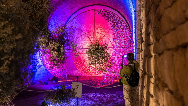 Mostra floral Temps de Flors, un dels principals reclams turístics de Girona