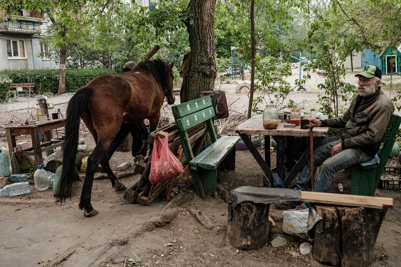 Un hombre se sienta junto a su caballo durante un bombardeo de mortero cercano en Severodonetsk, este de Ucrania