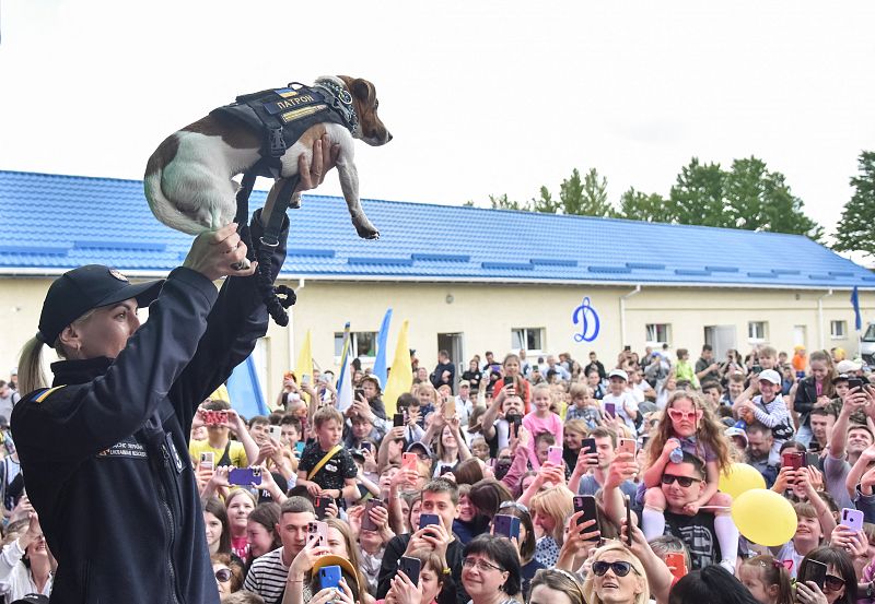 Un perro llamado Patrón (cartucho) y entrenado para buscar explosivos es mostrado durante la celebración del Día del Niño, en Leópolis.