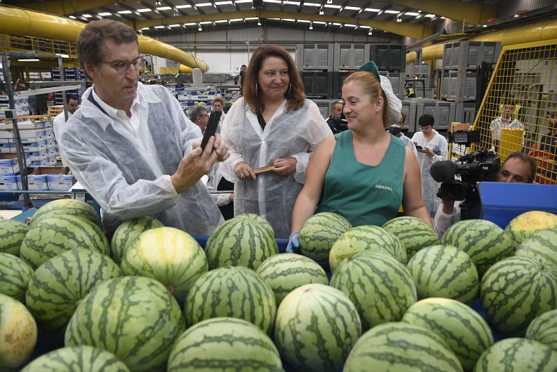 Feijoo visita una cooperativa agraria en El Ejido (Almería)