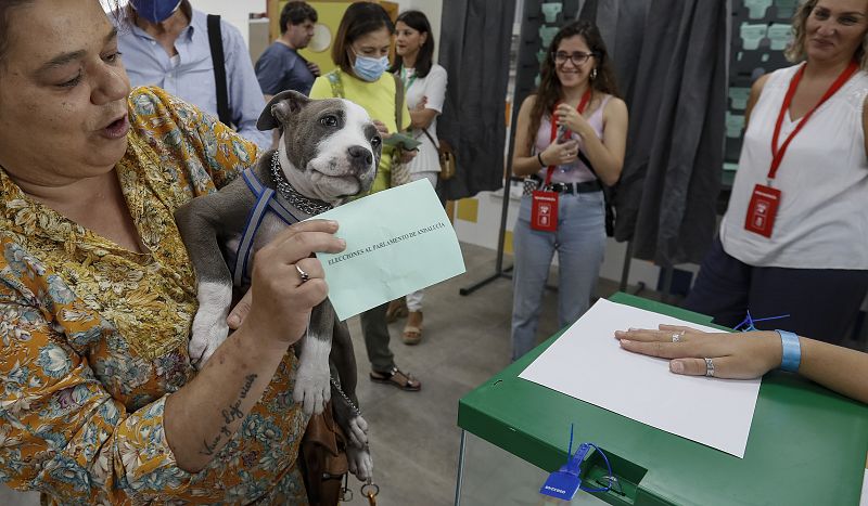 Una mujer con su perro y el sobre con su papeleta se dirige a la urna para ejercer su derecho al voto en el colegio electoral de la SAFA de Sevilla