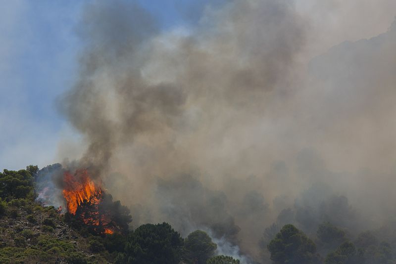 El incendio de Mijas afecta a 1.890 hectáreas y mantiene a 2.765 desalojados