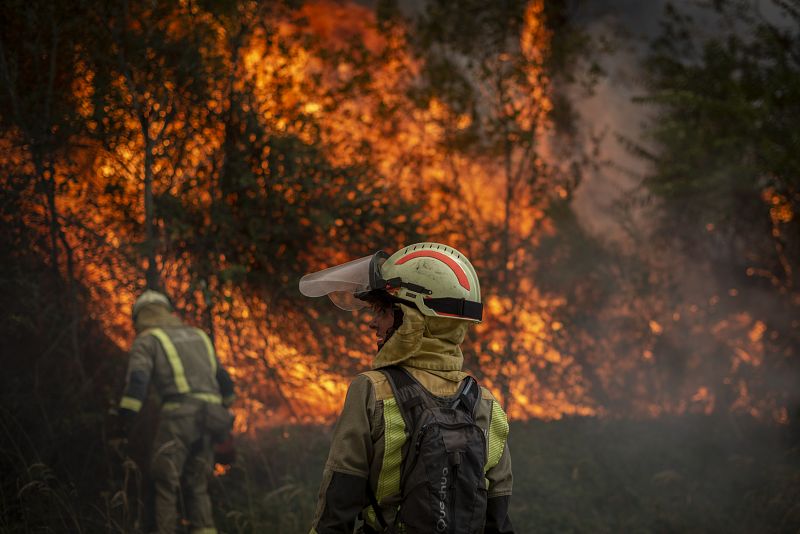 Incendio forestal en Ourense