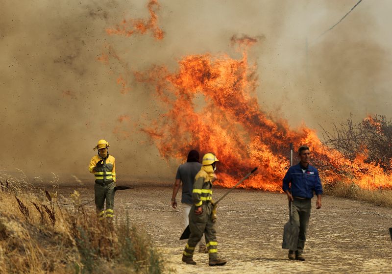 El fuego vuelve a arrasar Zamora