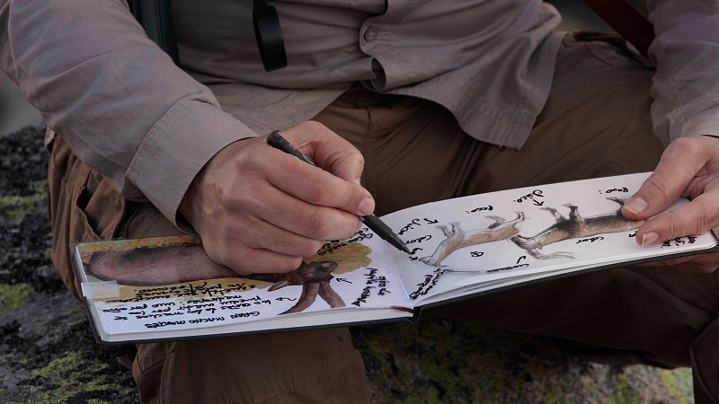 Cuaderno de campo: Cabra montesa