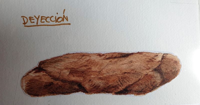 Deposición de lobo ibérico