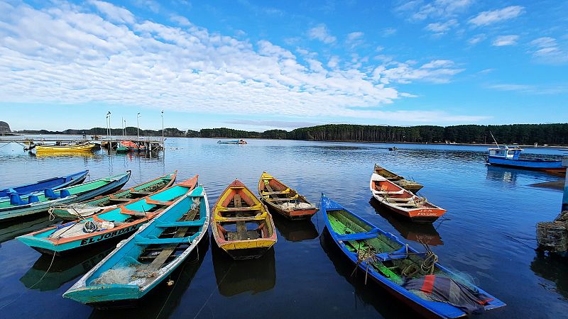 Barcas de pesca en Puerto Saavedra