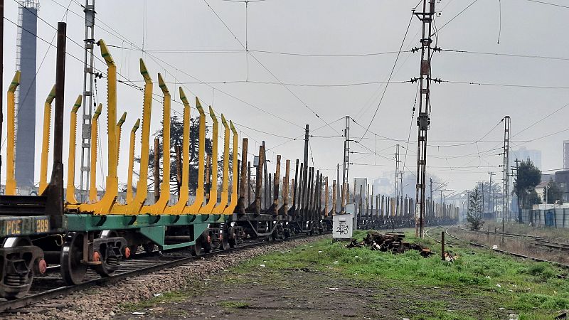 Tren que transporta la madera de los bosques explotados por empresas madereras