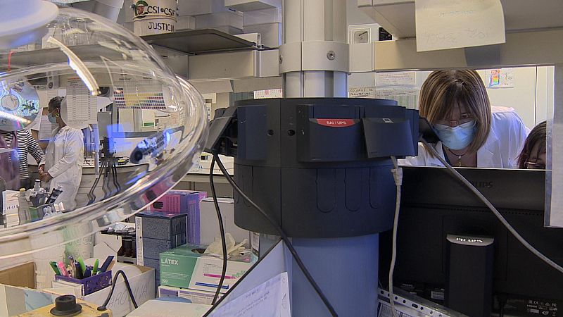 Begoña Bravo, en un laboratorio del Instituto Nacional de Toxicología