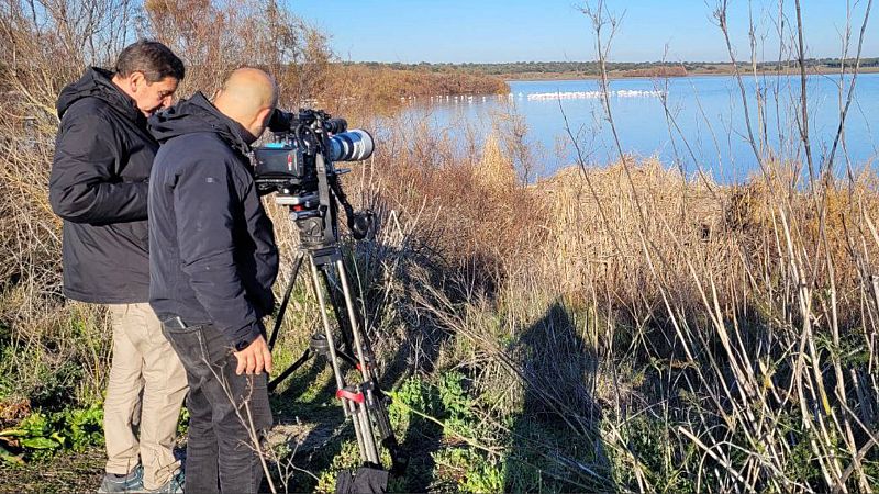Cámara y realizador captando imagen de grupo de flamencos en laguna