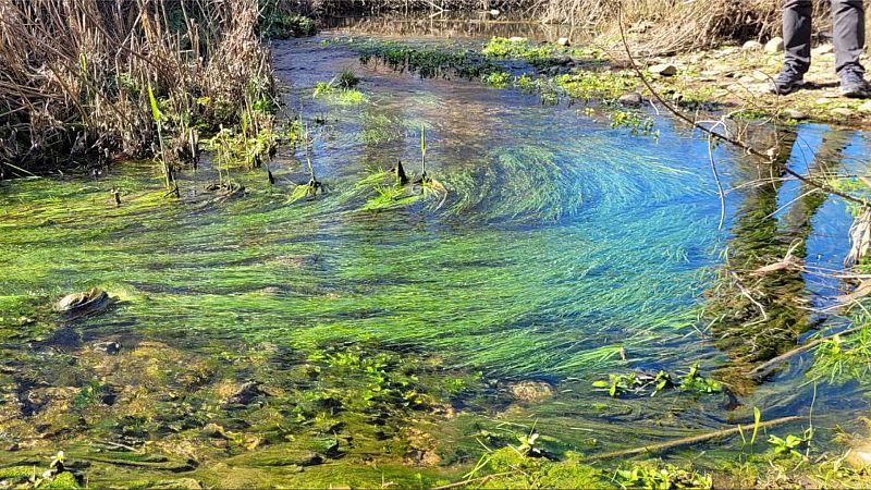 Aguas transparentes del río Agrio