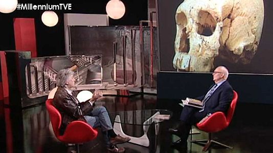 De animales a dioses