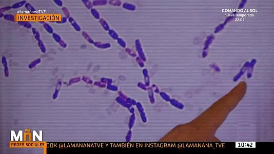 La Mañana - 30/06/20 