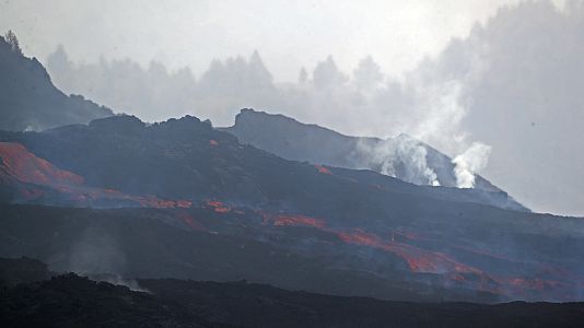 La tarde en 24 horas - 04/11/21 