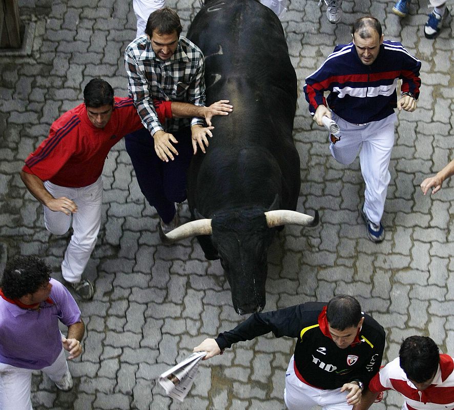 Runners lead a bull towards the bullring during the fourth bull run of the San Fermin festival in Pamplona