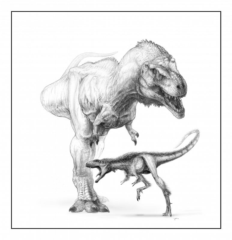 El Tiranosaurio creció en tamaño con el paso de los años, hasta convertirse en el temible T. Rex, 100 veces mayor que su antecesor.