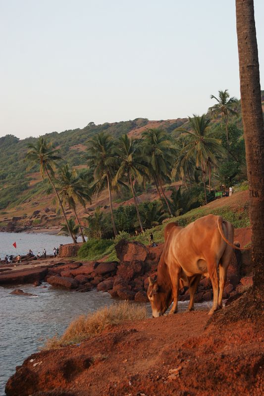 Playa de Anjuna, en Goa.