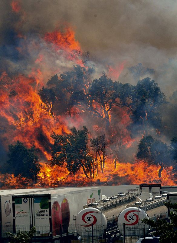 INCENDIO FOTESTAL LA JONQUERA (GIRONA)