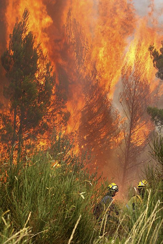 Bomberos luchan contra el fuego en Girona