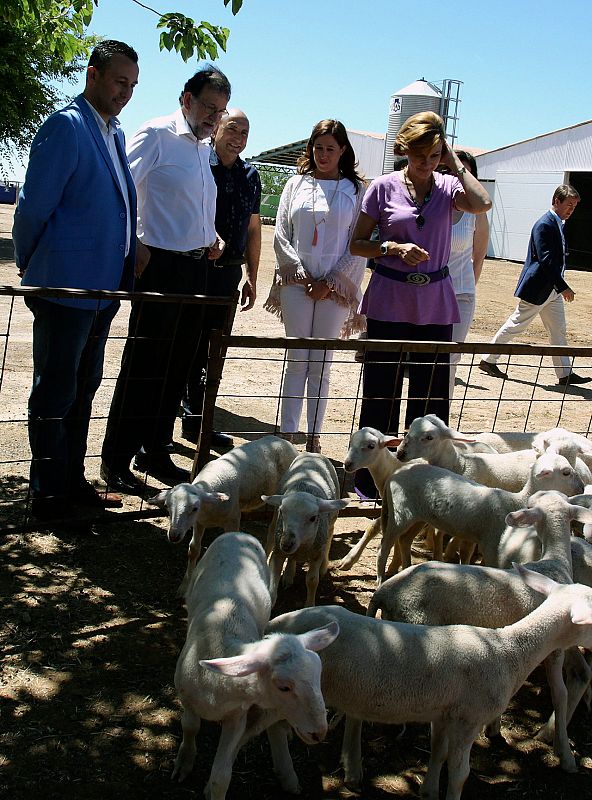 Rajoy sigue su periplo por el campo, este lunes con corderos en Malagón