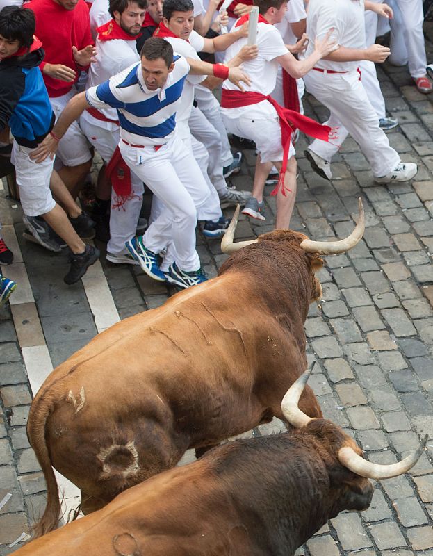 Los toros de Jandilla han sido muy veloces  en este quinto encierro de San Fermín 2016