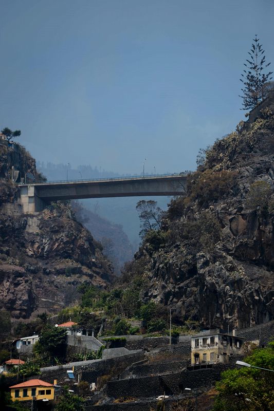 Vistas de los restos calcinados por el incendio forestal