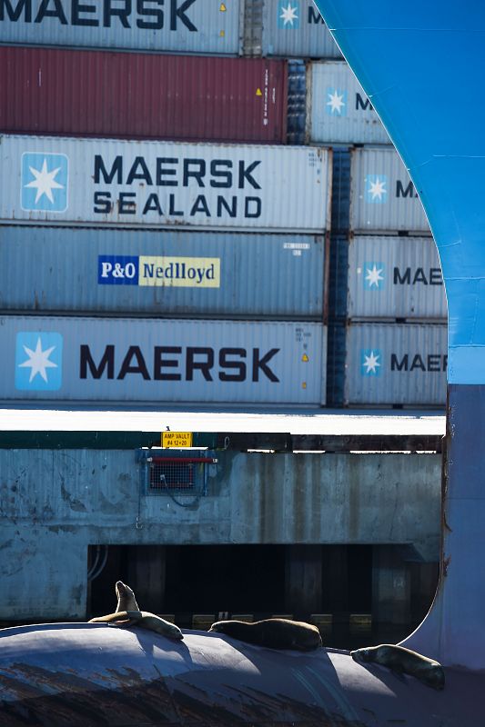 El grupo danés Maersk divide su negocio en transporte y energía