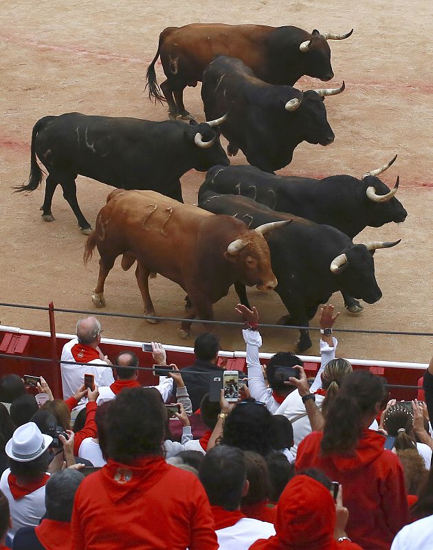Los toros hacen su entrada en la Plaza de Toros de Pamplona, durante el séptimo encierro de Sanfermines 2017, en el que las reses han protagonizado una rápida carrera de dos minutos y diez segundos hasta la arena de la plaza