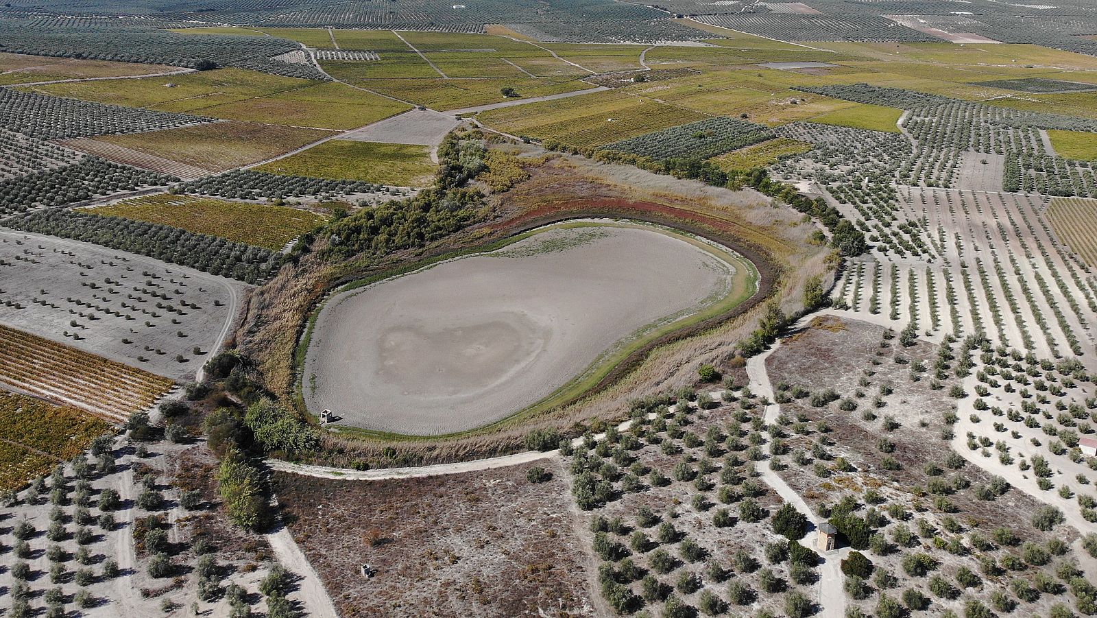 La sequía asfixia los humedales