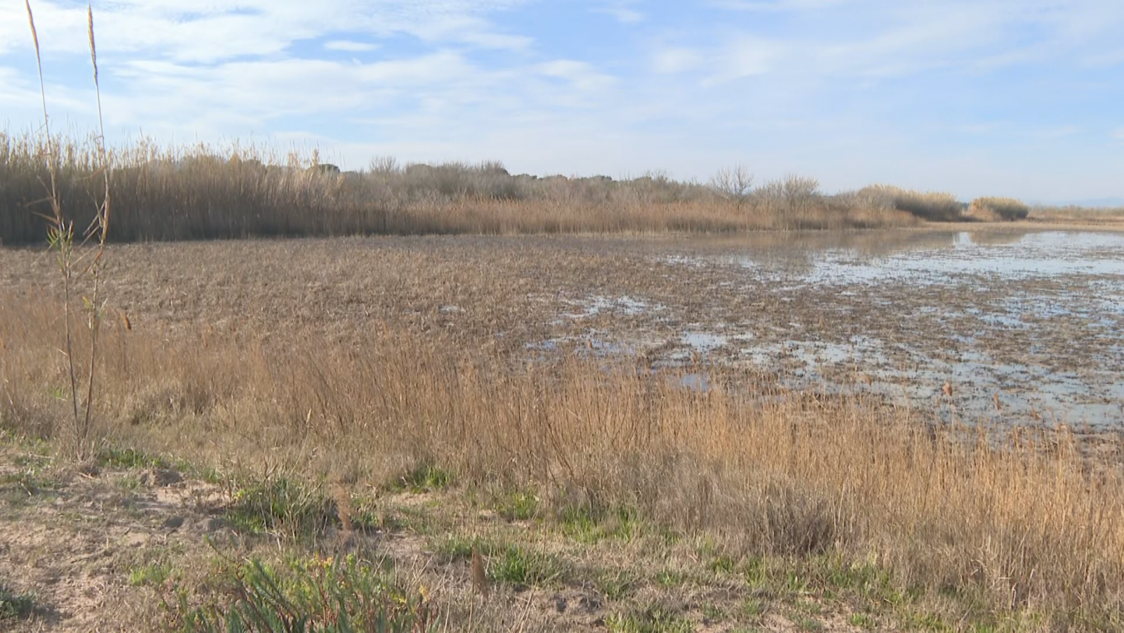 El sector agrícola només pot fer servir el 20% de l'aigua de què disposa per regar