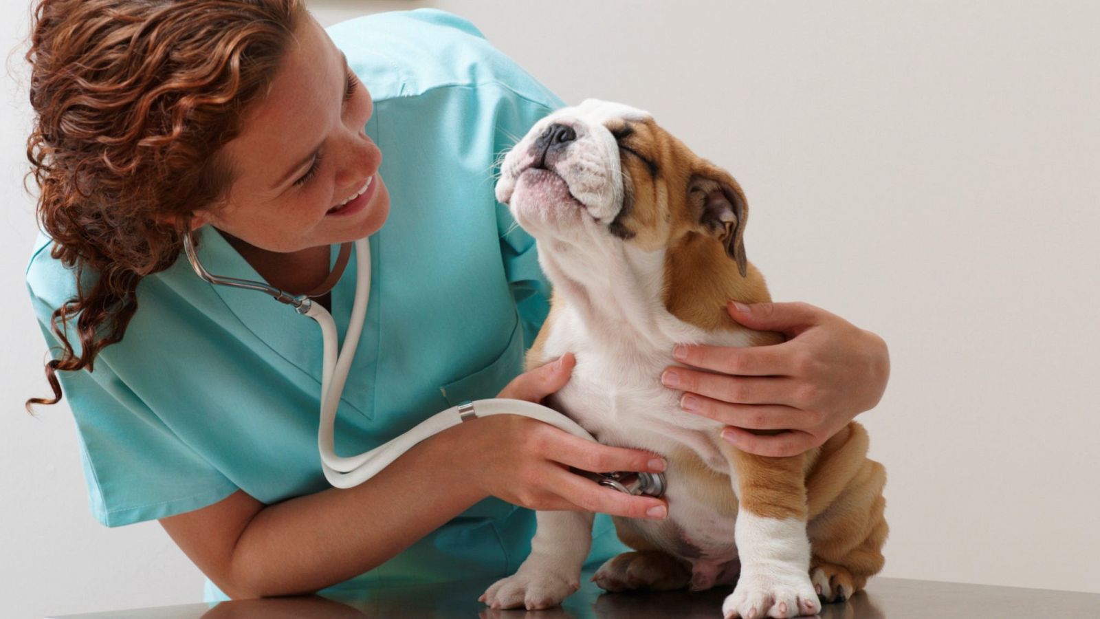 Cada vez más mujeres estudian Veterinaria