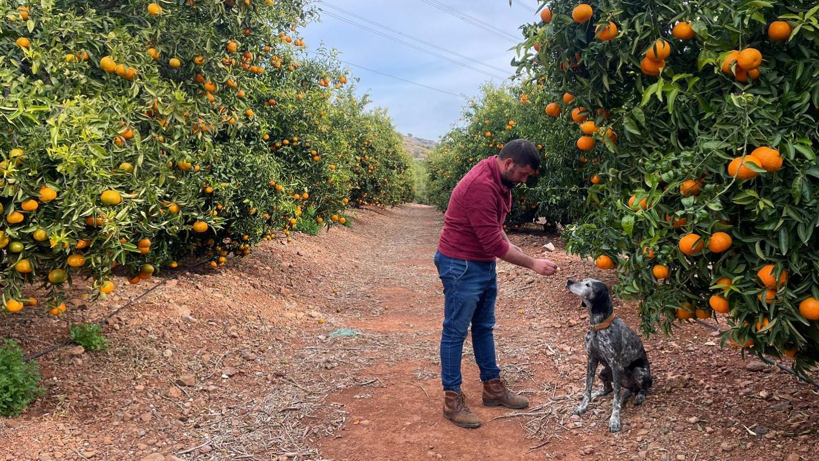 David Esteban té 34 anys i viu íntregrament de l'agricultura