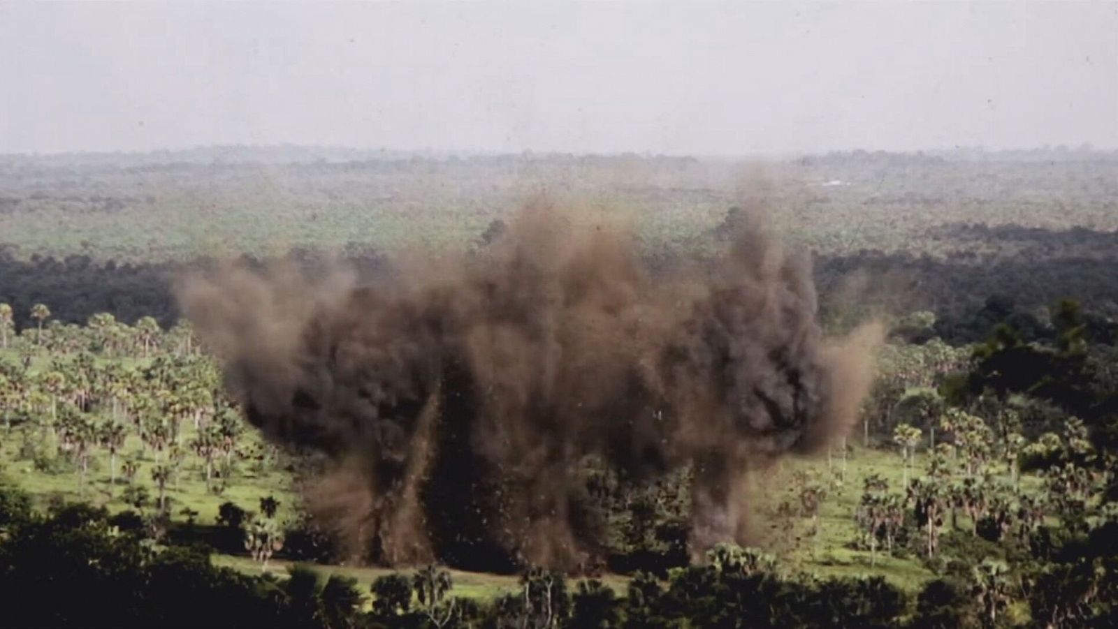 Una explosión en medio de una selva