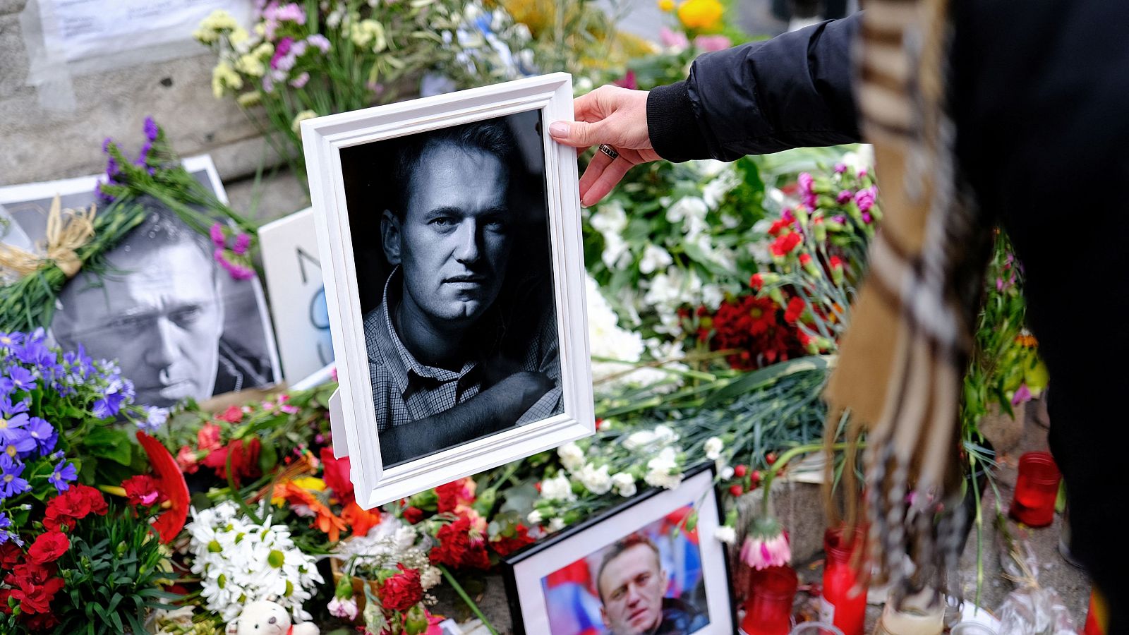 Una mujer coloca un retrato de Alexéi Navalni en un altar conmemorativo ubicado en Las Ramblas, Barcelona