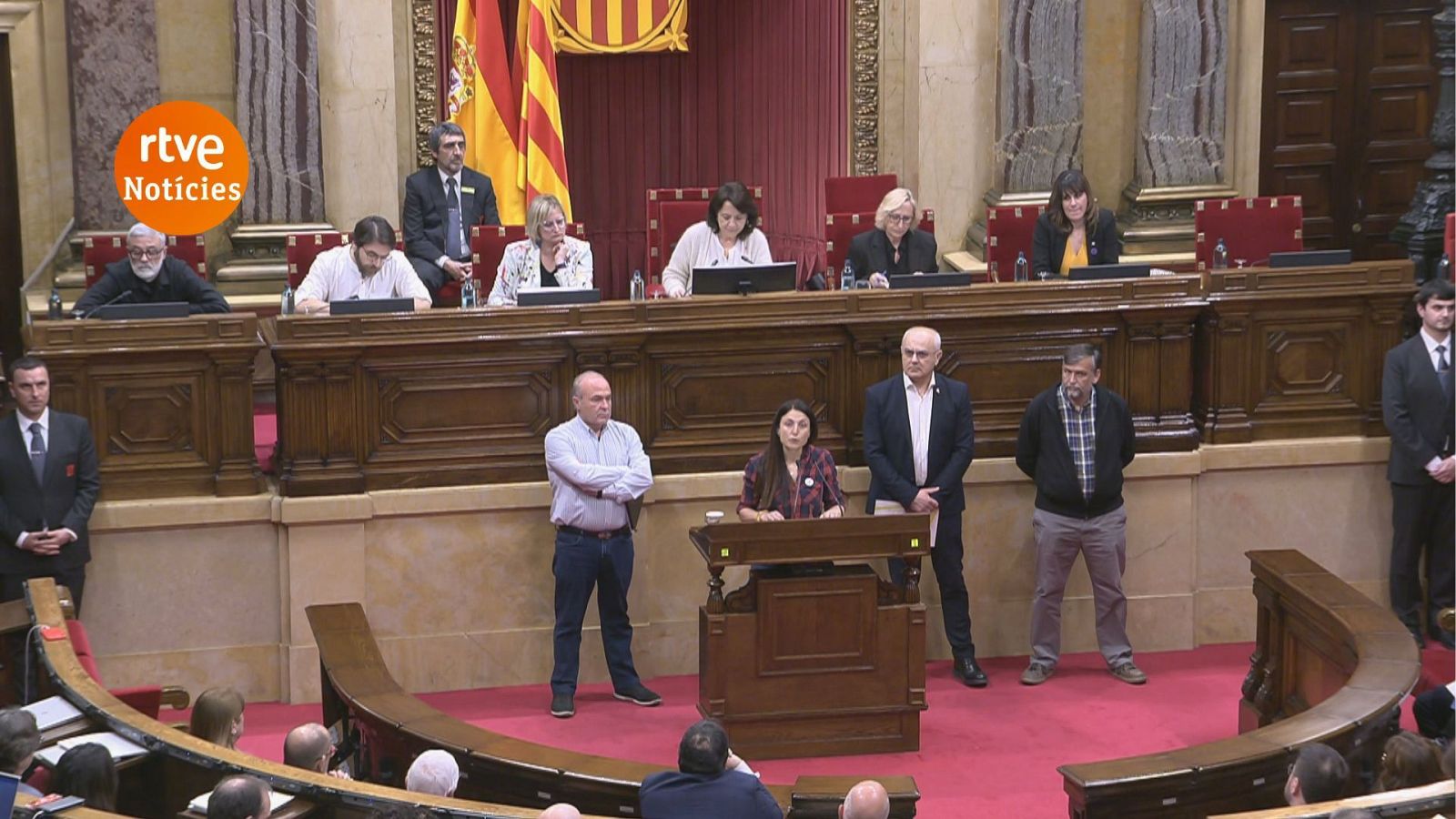 Imma Puigcorbé, de la Plataforma Pagesa, durant la seva intervenció al Parlament aquest dimarts