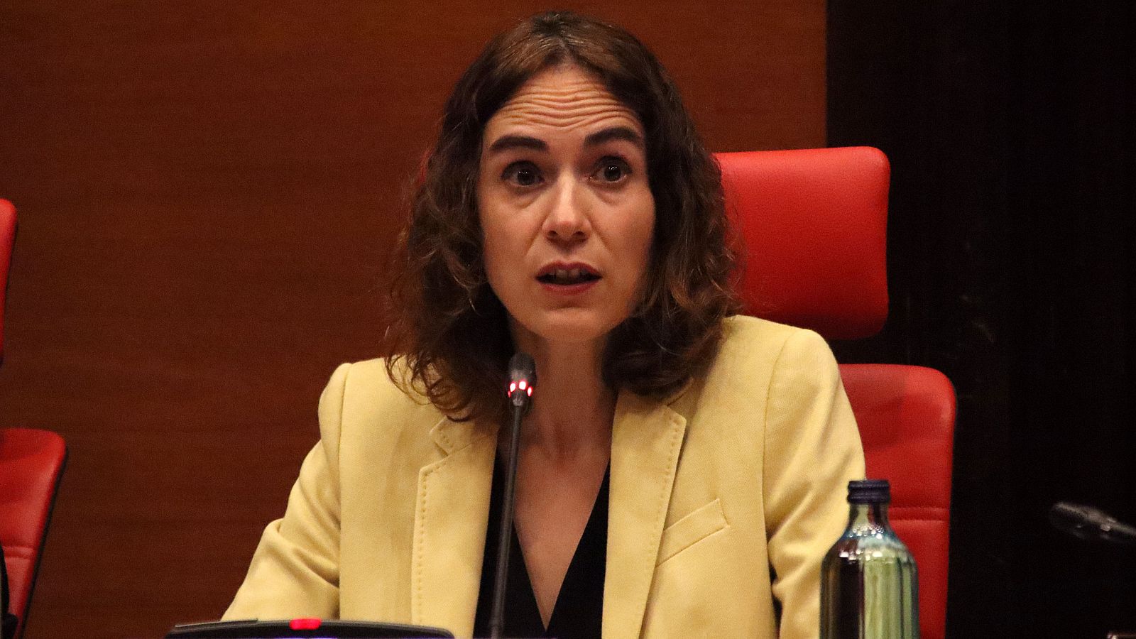La consellera de Justícia, Gemma Ubasart, compareixent a la Diputació Permanent | ACN