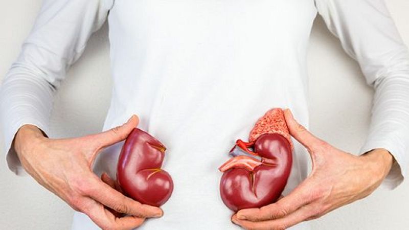 Buenas noticias de la semana del 18 al 24 de marzo. Éxito del primer xenotrasplante de un riñón de cerdo modificado genéticamente a un ser humano vivo y Cilleruelo de Abajo reabre su cine en la España vaciada.