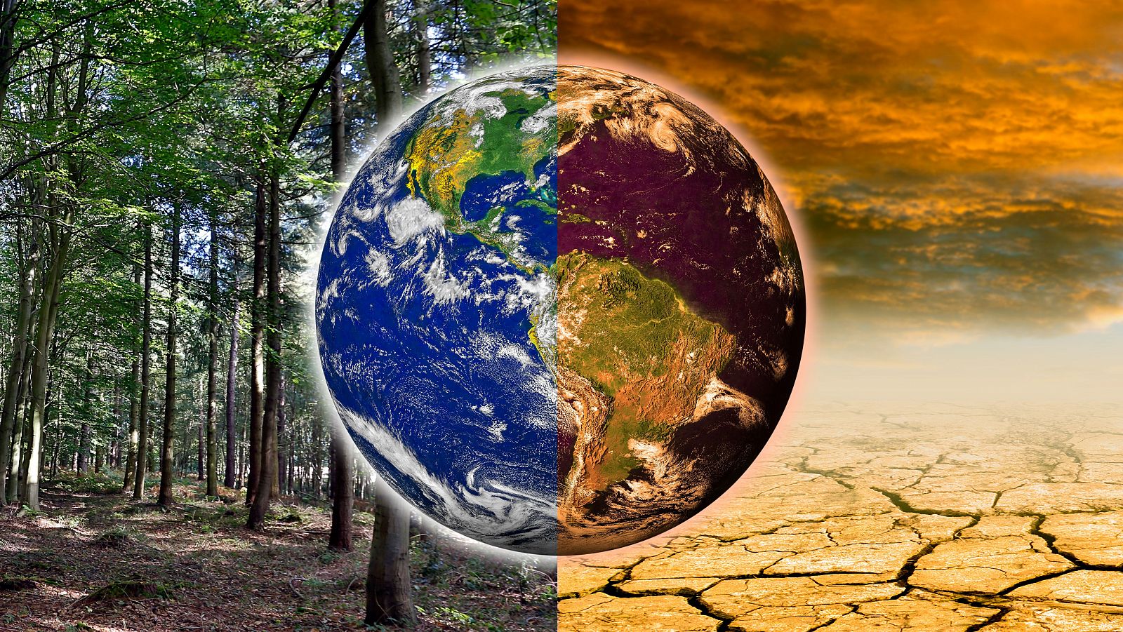 Día Mundial del Clima 2024: Técnicas de intervención climática