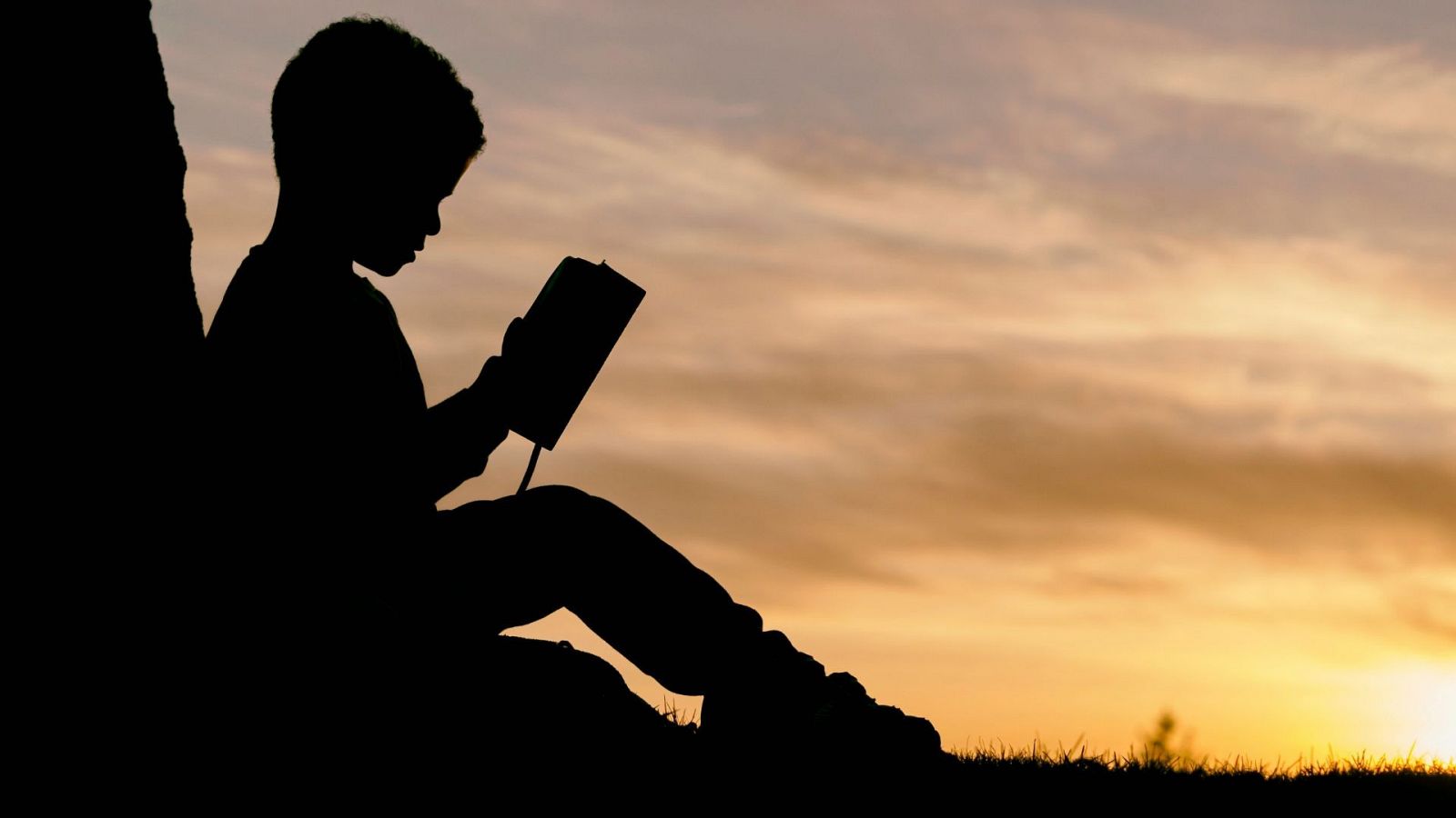 El Día Mundial de la Literatura Infantil y Juvenil es el 2 de abril